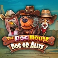 The Dog House – Dog Or Alive – slot do gry